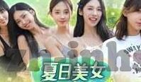 夺冠次数 世界杯-世界杯夺冠次数,历史与荣耀的交响曲