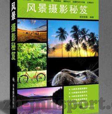 足球比分日本加纳-日本VS加纳,一场跨越地域的足球盛宴与比分背后的深度剖析